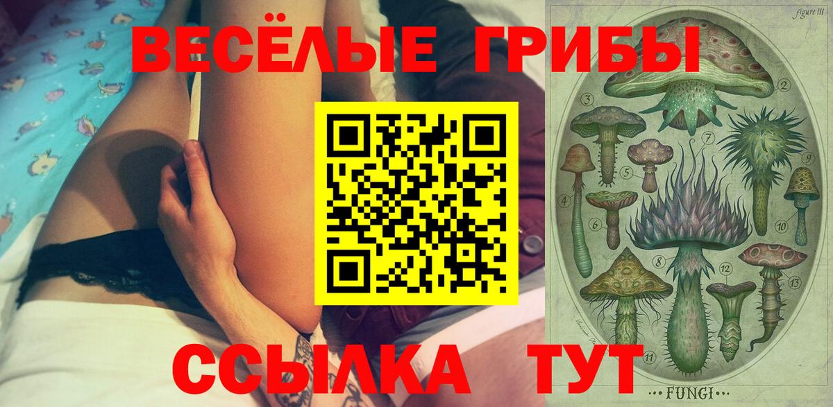 Галлюциногенные грибы MAGIC MUSHROOMS  Вход с VPN  Ростов Великий 